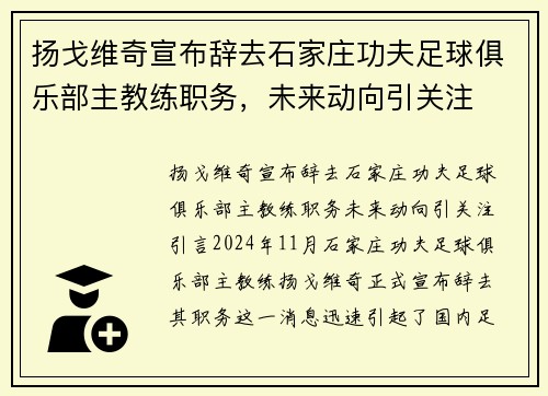 扬戈维奇宣布辞去石家庄功夫足球俱乐部主教练职务，未来动向引关注
