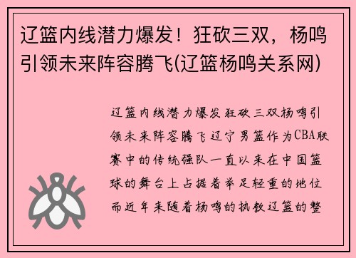 辽篮内线潜力爆发！狂砍三双，杨鸣引领未来阵容腾飞(辽篮杨鸣关系网)