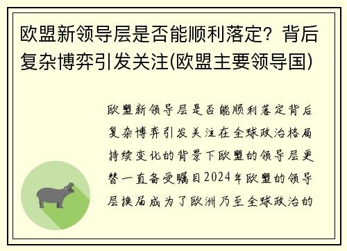 欧盟新领导层是否能顺利落定？背后复杂博弈引发关注(欧盟主要领导国)