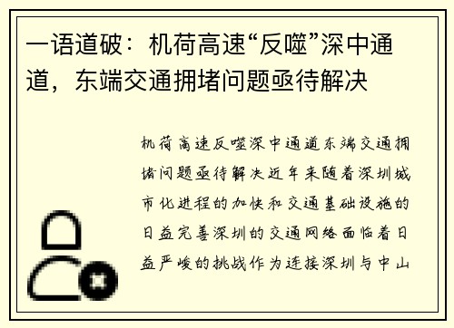 一语道破：机荷高速“反噬”深中通道，东端交通拥堵问题亟待解决