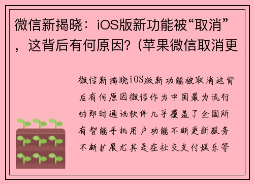 微信新揭晓：iOS版新功能被“取消”，这背后有何原因？(苹果微信取消更新)